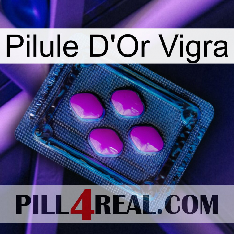 Vigra Gold Pill 04